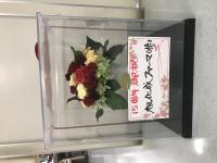 IMG_1132.JPGのサムネイル画像